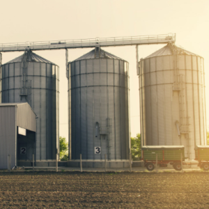 Agriculture and food field