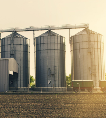 Agriculture and food field